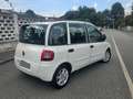 Fiat Multipla 1.9 mjt Dynamic 120cv Bianco - thumbnail 3