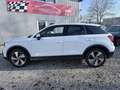 Audi Q2 35 TFSI S-Tronic S-Line Sportpaket Kamera LED Weiß - thumbnail 5