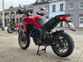 Ducati Multistrada 950 | "À Saisir" Rot - thumbnail 9