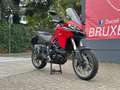 Ducati Multistrada 950 | "À Saisir" Rot - thumbnail 7