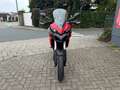 Ducati Multistrada 950 | "À Saisir" Rot - thumbnail 4