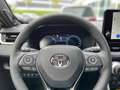 Toyota RAV 4 Hybrid 2Tone+Leder+el.Heckklappe Gris - thumbnail 17
