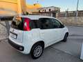 Fiat Panda 1.0 FireFly AUTOCARRO N1 Blanc - thumbnail 3