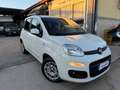 Fiat Panda 1.0 FireFly AUTOCARRO N1 Blanc - thumbnail 2