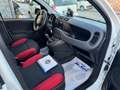 Fiat Panda 1.0 FireFly AUTOCARRO N1 Blanc - thumbnail 4