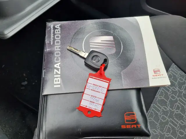 Seat Ibiza view 8