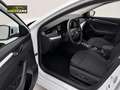 Skoda Octavia Combi Style 2.0 TDI DSG*MATRIX-LED*HeadUp* Weiß - thumbnail 10