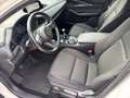 Mazda CX-30 G122 Comfort Weiß - thumbnail 9