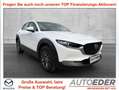 Mazda CX-30 G122 Comfort Weiß - thumbnail 1
