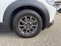 Mazda CX-30 G122 Comfort Weiß - thumbnail 7