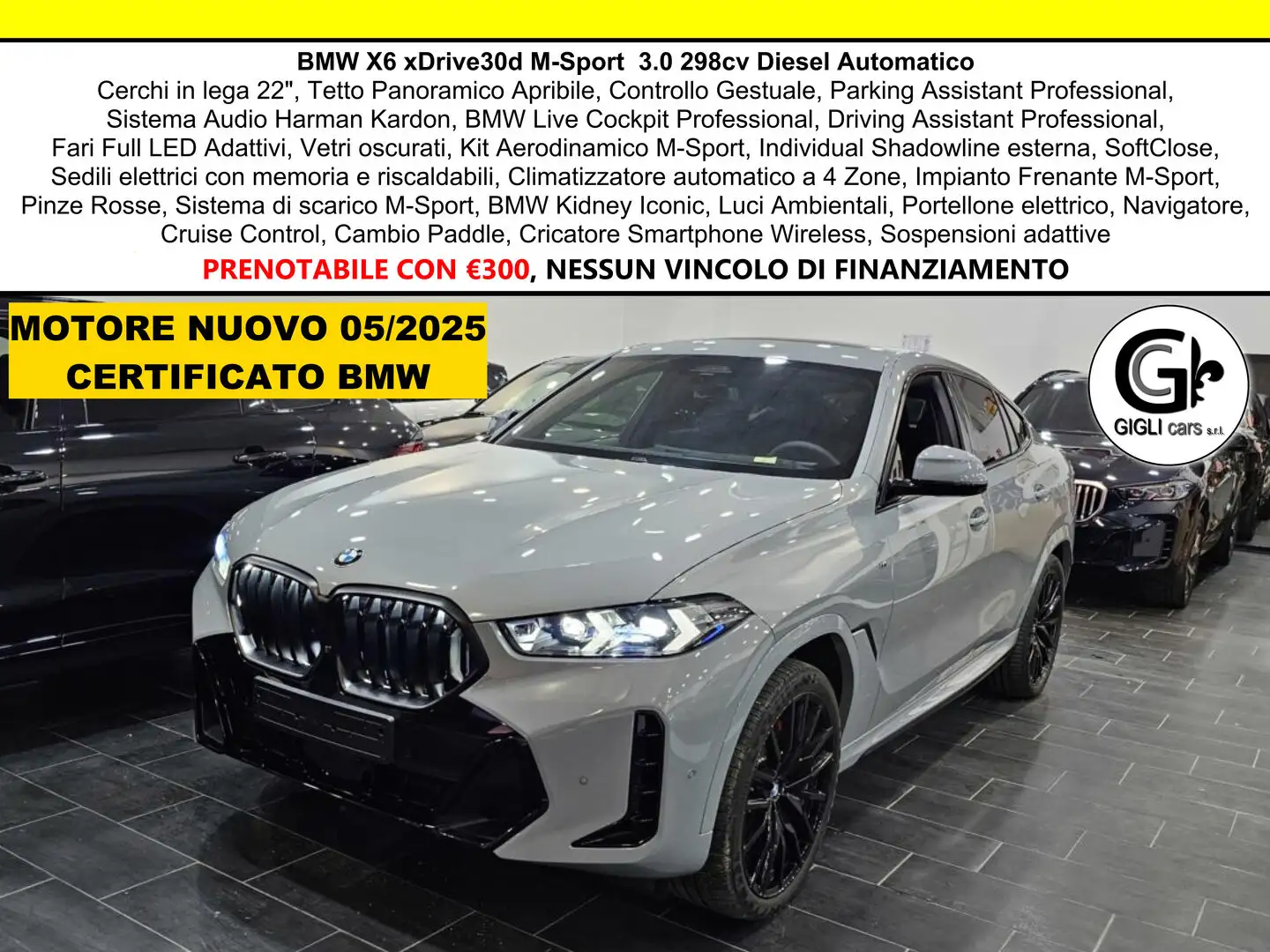 BMW X6 30d xDrive M-Sport PRO Tetto Navi 360° C22" MSport Grigio - 1