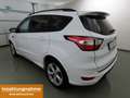 Ford Kuga 1.5 Aut 4x4 ST-Line Xenon+AHK+SHZ+GJR Weiß - thumbnail 3