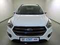 Ford Kuga 1.5 Aut 4x4 ST-Line Xenon+AHK+SHZ+GJR Weiß - thumbnail 6