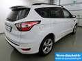 Ford Kuga 1.5 Aut 4x4 ST-Line Xenon+AHK+SHZ+GJR Weiß - thumbnail 4