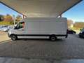 Mercedes-Benz Sprinter III Kasten RWD 316 CDI I TÜV 12/2026 Weiß - thumbnail 4