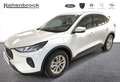 Ford Kuga Titanium PHEV *Winter-Paket* Weiß - thumbnail 11