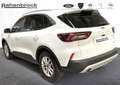 Ford Kuga Titanium PHEV *Winter-Paket* Weiß - thumbnail 5