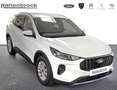Ford Kuga Titanium PHEV *Winter-Paket* Weiß - thumbnail 3