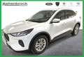 Ford Kuga Titanium PHEV *Winter-Paket* Weiß - thumbnail 1