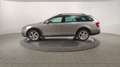 Skoda Octavia 2.0 Tdi Cr 150 Cv 4X4 Dsg Wagon Scout Grau - thumbnail 4