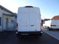 Ford Transit 2,0 TDCI Trend 350 Kasten L3H3 Jahreswagen Blanc - thumbnail 9