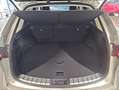 Lexus NX 300h 350h Business City 2WD Plateado - thumbnail 35