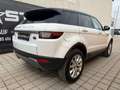Land Rover Range Rover Evoque 2.0 eD4 SE Start/Stopp Weiß - thumbnail 4