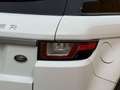 Land Rover Range Rover Evoque 2.0 eD4 SE Start/Stopp Weiß - thumbnail 43