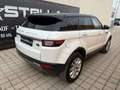 Land Rover Range Rover Evoque 2.0 eD4 SE Start/Stopp Weiß - thumbnail 39