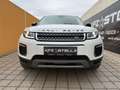 Land Rover Range Rover Evoque 2.0 eD4 SE Start/Stopp Weiß - thumbnail 2