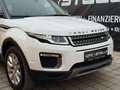 Land Rover Range Rover Evoque 2.0 eD4 SE Start/Stopp Weiß - thumbnail 36