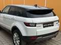 Land Rover Range Rover Evoque 2.0 eD4 SE Start/Stopp Weiß - thumbnail 47