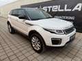 Land Rover Range Rover Evoque 2.0 eD4 SE Start/Stopp Weiß - thumbnail 31