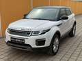 Land Rover Range Rover Evoque 2.0 eD4 SE Start/Stopp Weiß - thumbnail 32