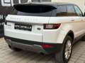 Land Rover Range Rover Evoque 2.0 eD4 SE Start/Stopp Weiß - thumbnail 42