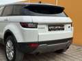 Land Rover Range Rover Evoque 2.0 eD4 SE Start/Stopp Weiß - thumbnail 45