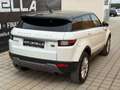 Land Rover Range Rover Evoque 2.0 eD4 SE Start/Stopp Weiß - thumbnail 41