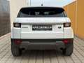 Land Rover Range Rover Evoque 2.0 eD4 SE Start/Stopp Weiß - thumbnail 5