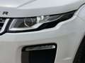Land Rover Range Rover Evoque 2.0 eD4 SE Start/Stopp Weiß - thumbnail 34