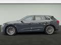 Audi Q8 e-tron 55 qu S line*Air*B&O*HUD*Pano*Matrix*V Grau - thumbnail 2