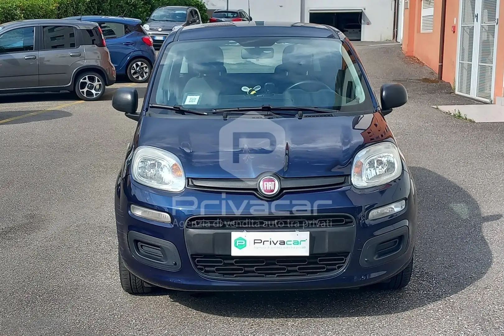 Fiat Panda Panda 1.2 Lounge Bleu - 2