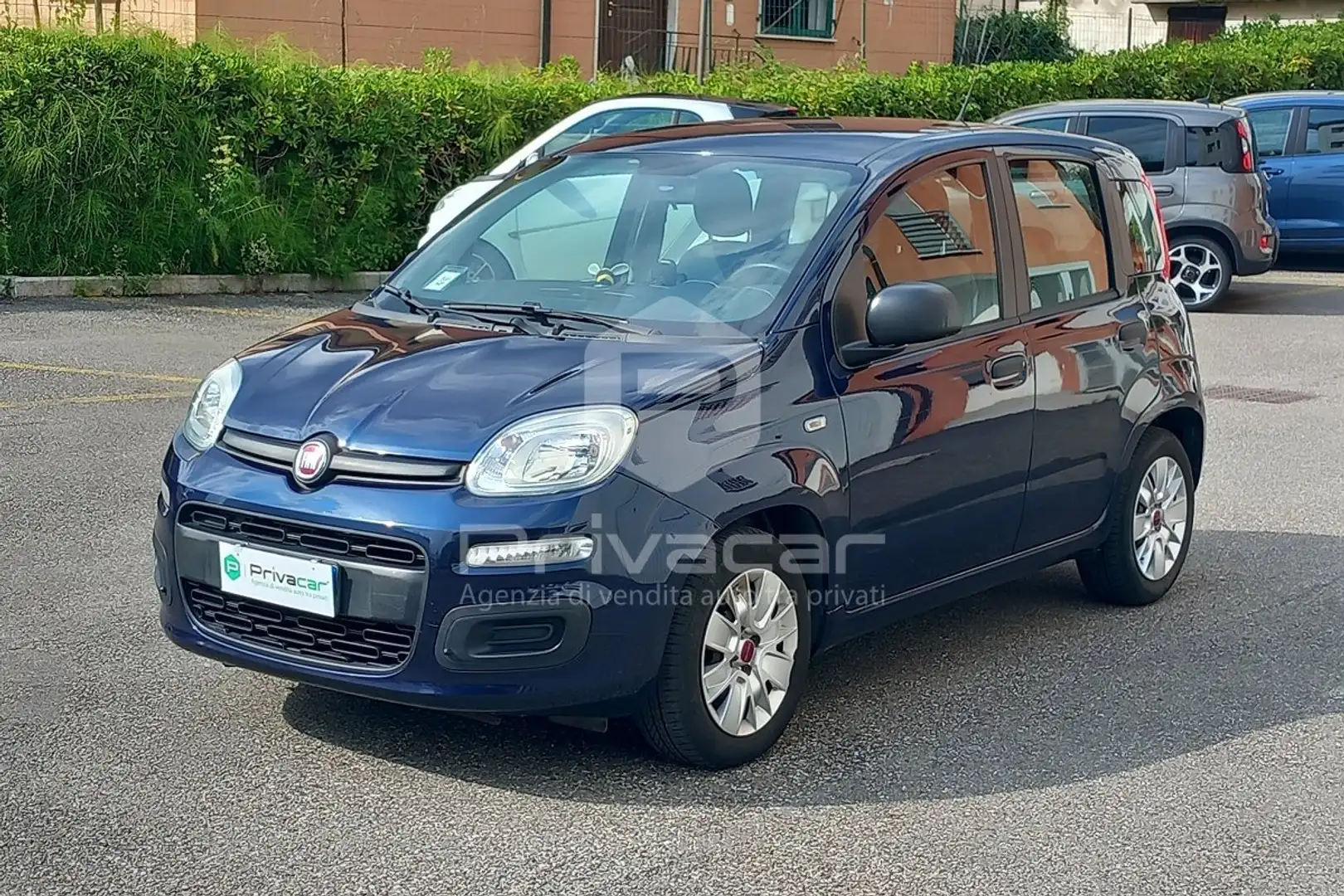 Fiat Panda Panda 1.2 Lounge Bleu - 1