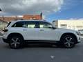 Mercedes-Benz GLB 250 GLB250 4MATIC MEMORY PANO 7-SITZER Weiß - thumbnail 8