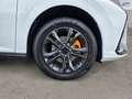 Dongfeng Shine ICE E2 Weiß - thumbnail 16