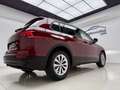 Volkswagen Tiguan 1.6TDI Advance 85kW Rojo - thumbnail 18