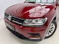 Volkswagen Tiguan 1.6TDI Advance 85kW Rojo - thumbnail 14