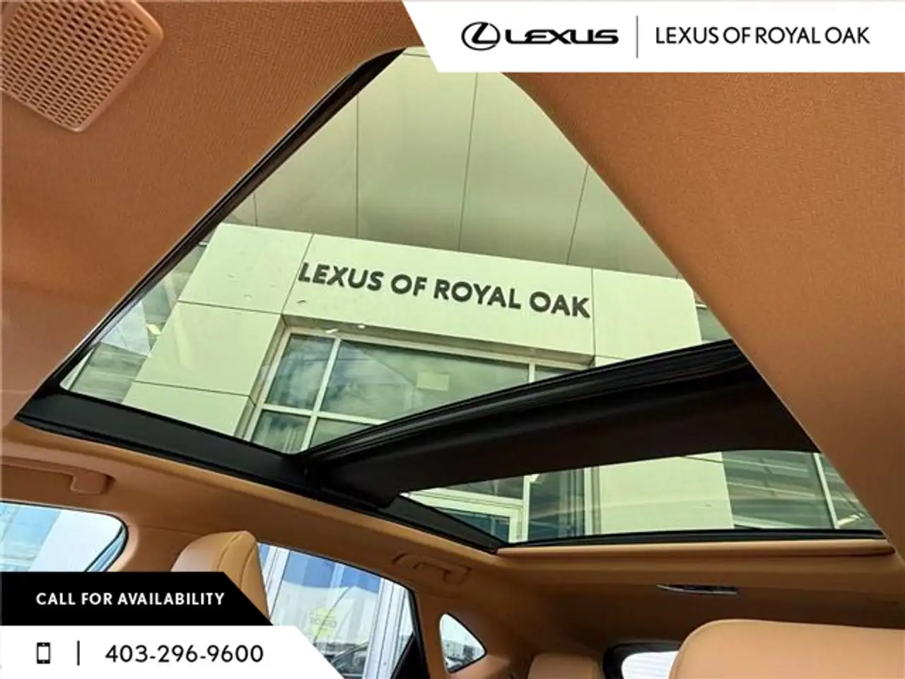 Lexus NX снимка Lexus NX
