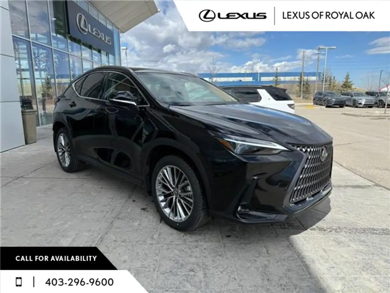 Lexus NX снимка Lexus NX