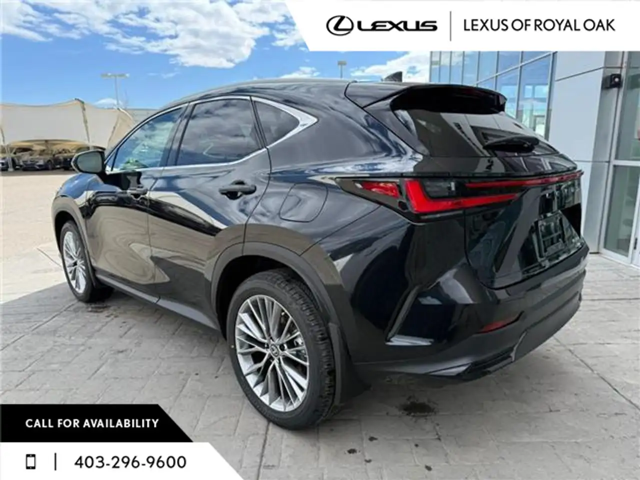 Lexus NX снимка Lexus NX