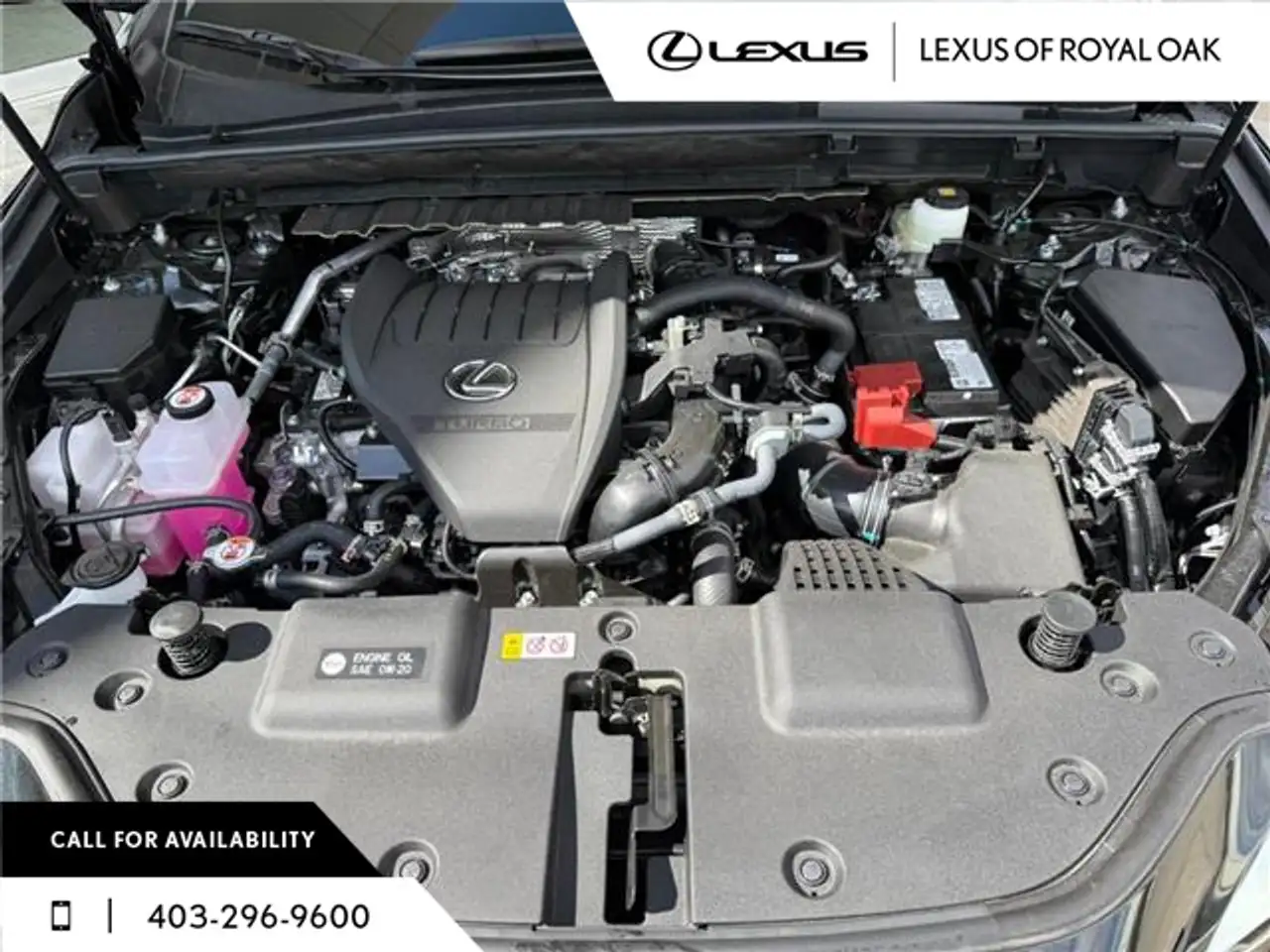 Lexus NX снимка Lexus NX
